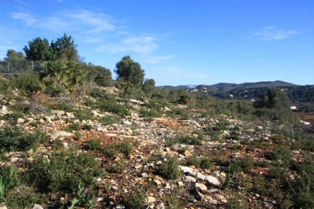 Land for sale in Llíber, Alicante photo 4