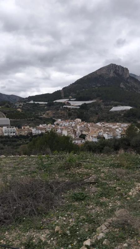 Terreno en venta en Bolulla, Alicante photo 3