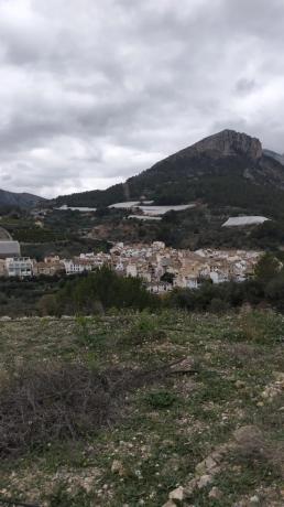 Terreno en Bolulla photo 3