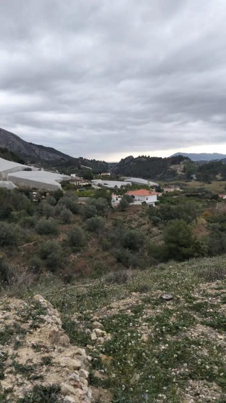 Terreno en venta en Bolulla, Alicante photo 5