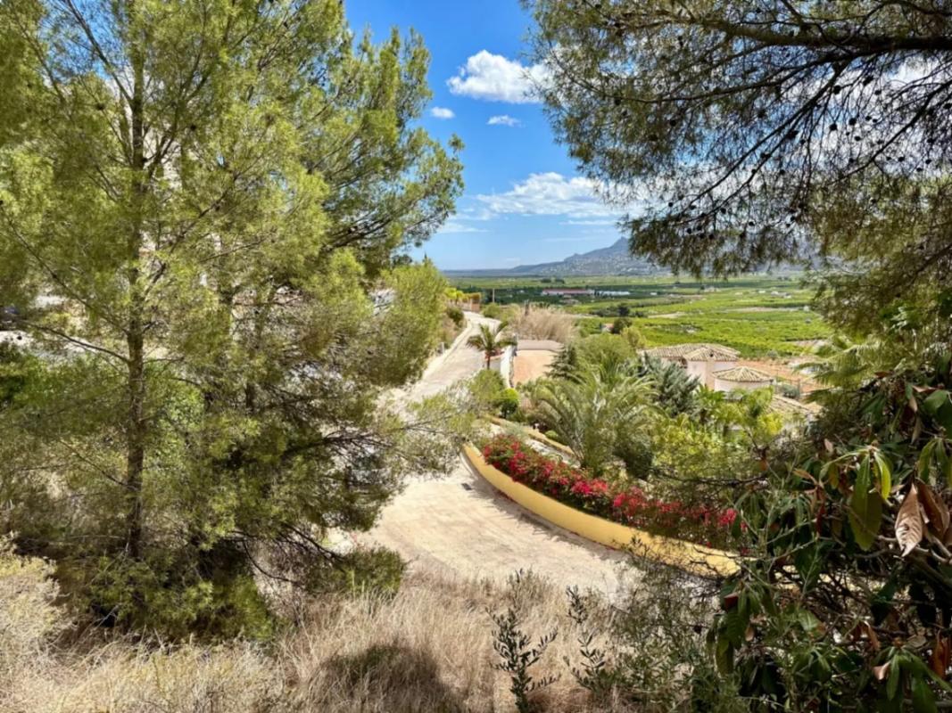 Terreno en venta en Pego, Alicante photo 1