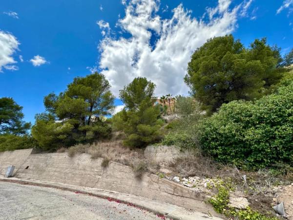 Terreno en Pego photo 3