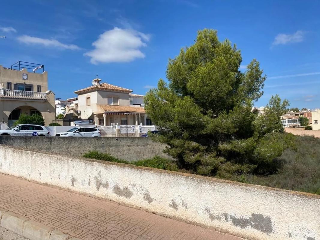 Działka na sprzedaż w San Miguel de Salinas, Alicante photo 2