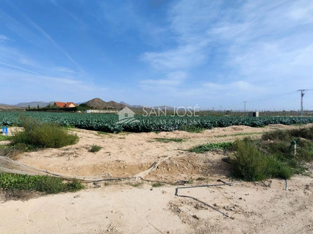 Участок земли на продажу в Монфорте-дель-Сид, Аликанте photo 3