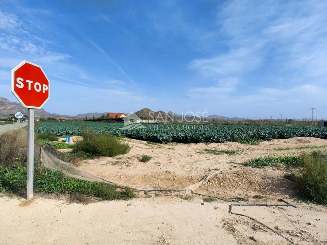 Участок земли на продажу в Монфорте-дель-Сид, Аликанте photo 5