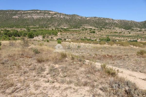 Terreno en Monovar photo 4