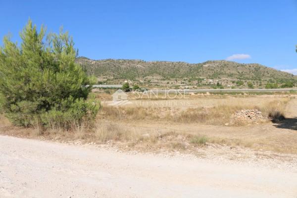 Terreno en Monovar photo 1