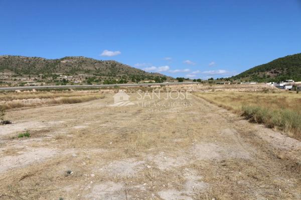 Terreno en Monovar photo 2