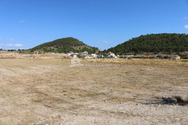 Terreno en Monovar photo 3