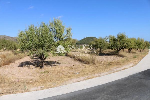 Terreno en Monovar photo 1