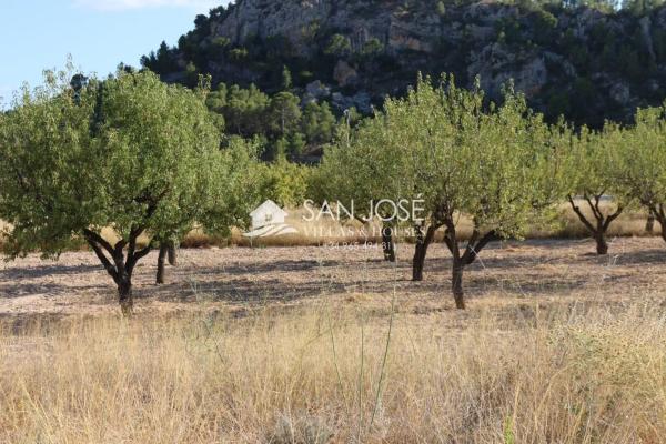Terreno en Monovar photo 2