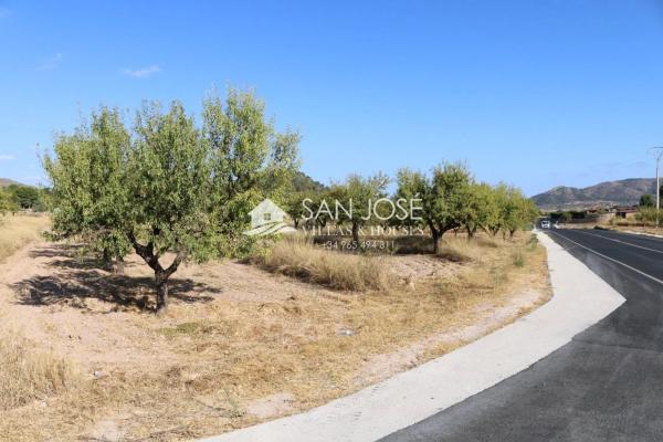 Terreno en Monovar photo 3
