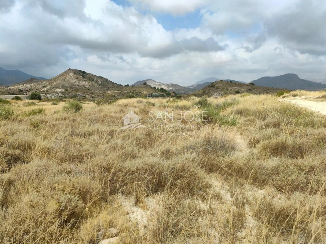 Terreno en venta en Aspe, Alicante photo 1