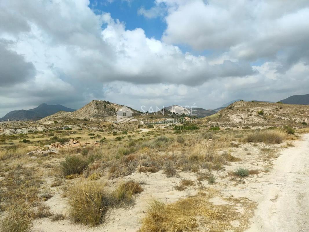 Terreno en venta en Aspe, Alicante photo 2