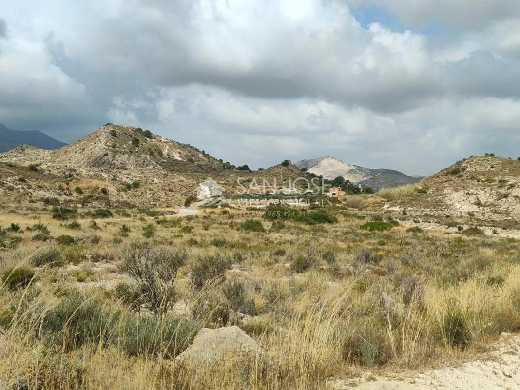 Terreno en venta en Aspe, Alicante photo 3