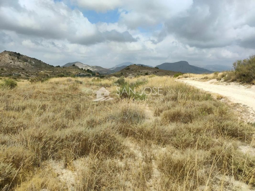 Terreno en venta en Aspe, Alicante photo 4