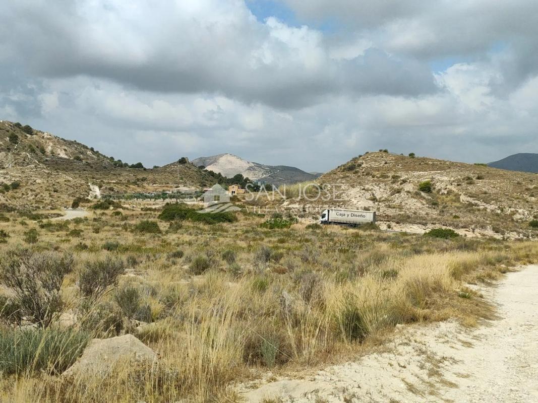 Terreno en venta en Aspe, Alicante photo 5
