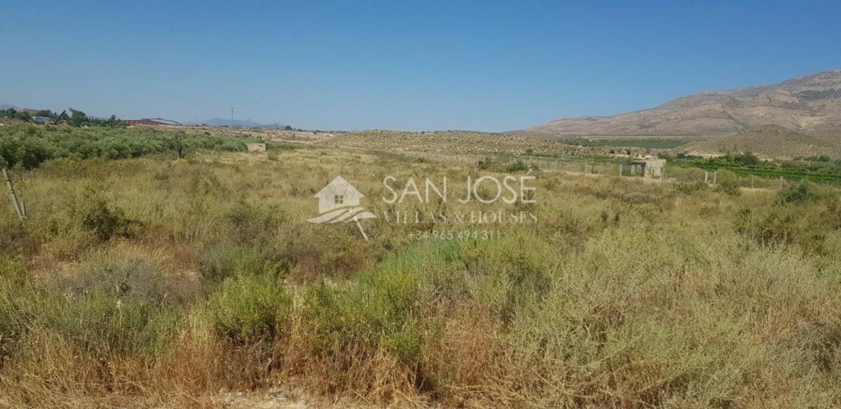 Terreno en venta en Agost, Alicante photo 2