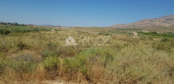Terreno en Agost photo 2
