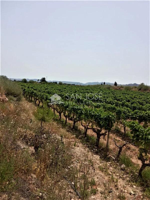 Land for sale in Novelda, Alicante photo 1