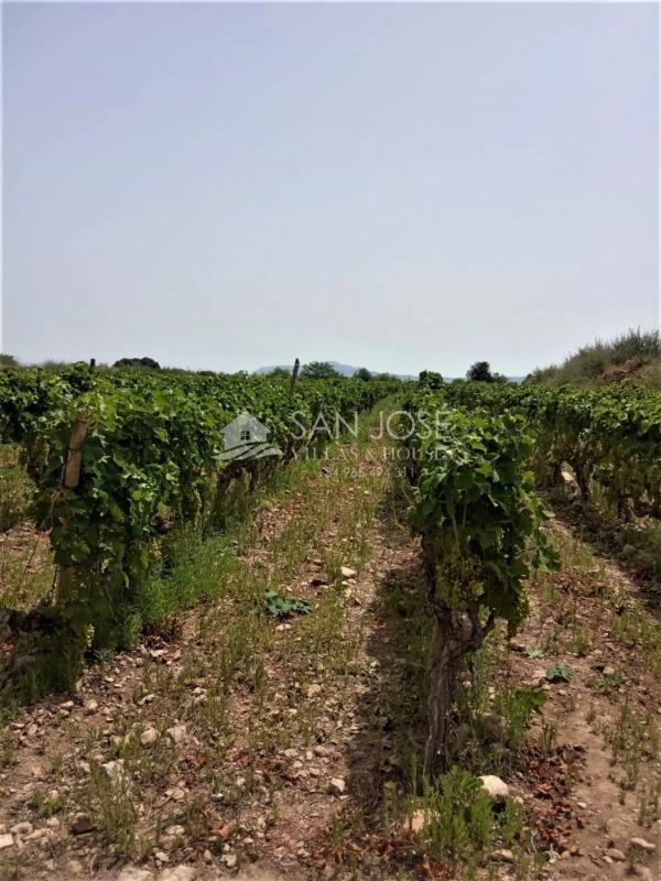 Land for sale in Novelda, Alicante photo 2