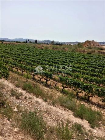 Terreno en Novelda photo 4