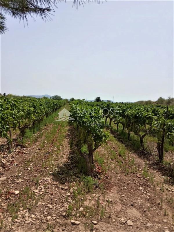 Land for sale in Novelda, Alicante photo 5