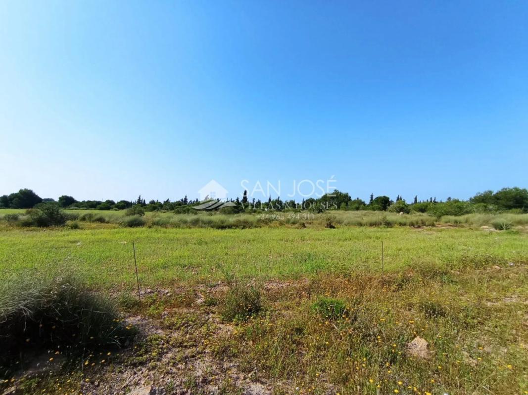 Terreno en venta en Elche / Elx, Alicante photo 2