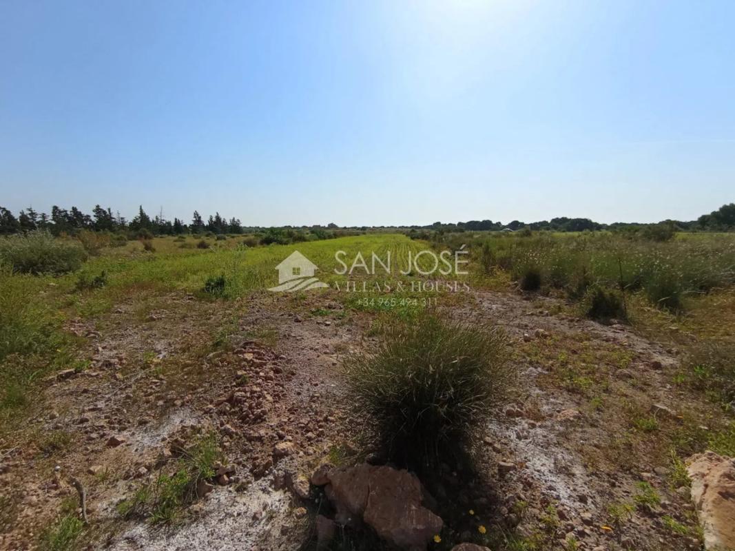 Terreno en venta en Elche / Elx, Alicante photo 4