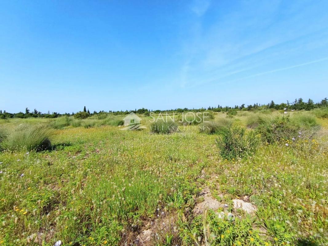 Terreno en venta en Elche / Elx, Alicante photo 5