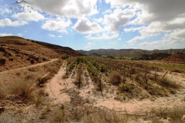 Terreno en Monforte del Cid photo 4