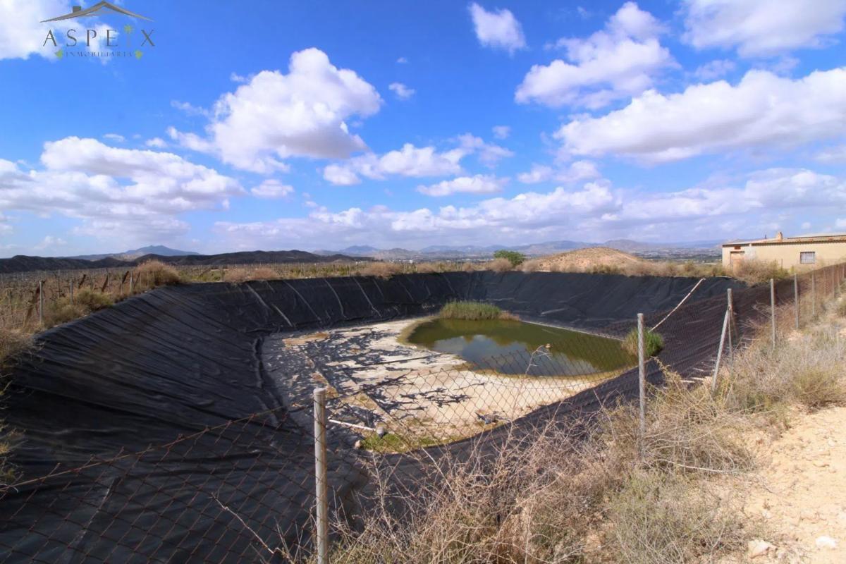 Terreno en venta en Monforte del Cid, Alicante photo 5