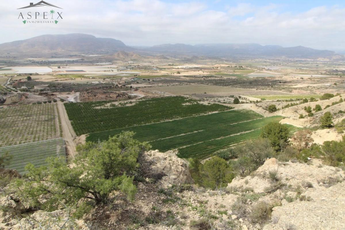 Działka na sprzedaż w Monforte del Cid, Alicante photo 2