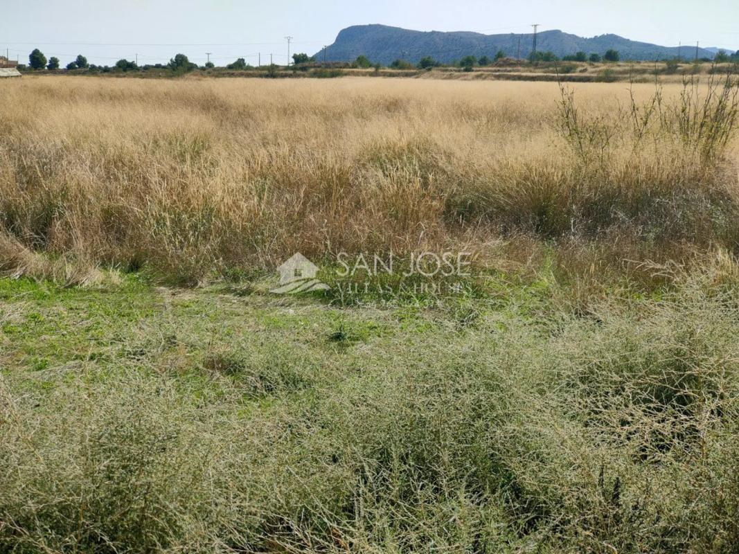 Участок земли на продажу в Ла Романа, Аликанте photo 5
