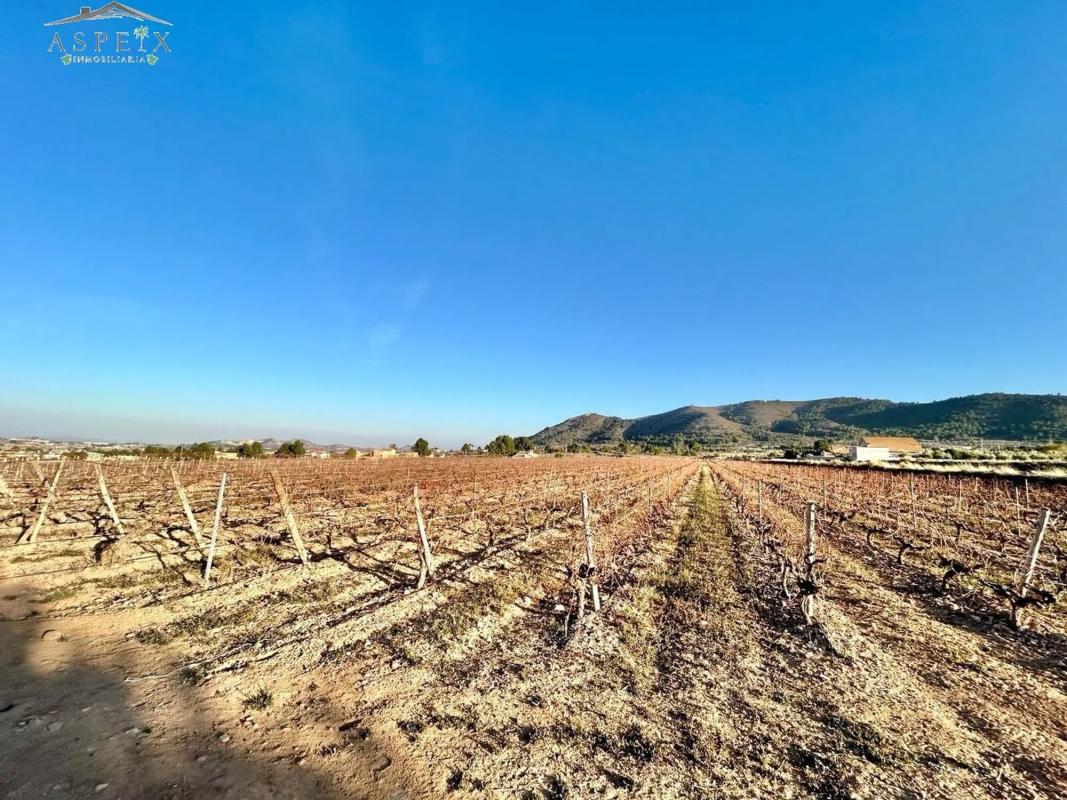 Участок земли на продажу в Ла Романа, Аликанте photo 2