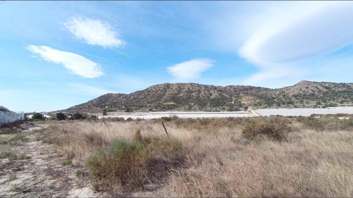 Terreno en venta en Monforte del Cid, Alicante photo 1
