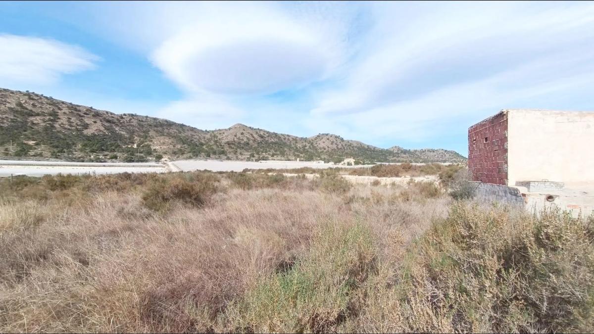 Terreno en venta en Monforte del Cid, Alicante photo 2