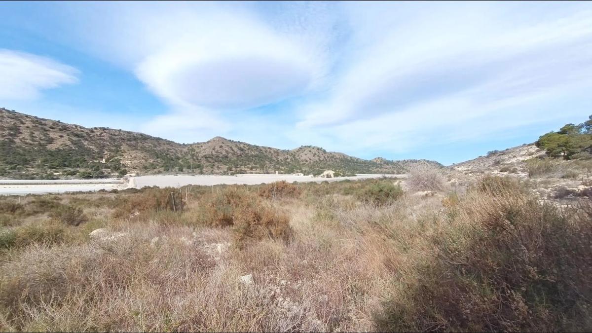 Terreno en venta en Monforte del Cid, Alicante photo 3