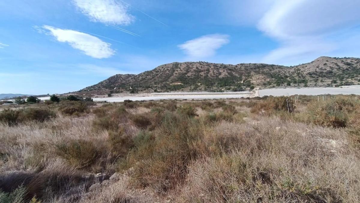 Terreno en venta en Monforte del Cid, Alicante photo 4