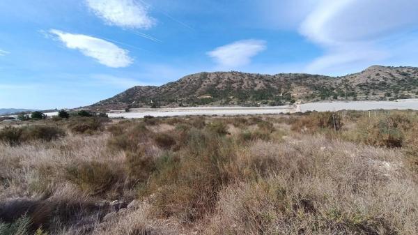 Terreno en Monforte del Cid photo 4