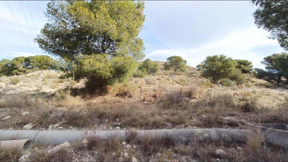 Terreno en venta en Monforte del Cid, Alicante photo 5