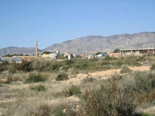 Terreno en Crevillente photo 1