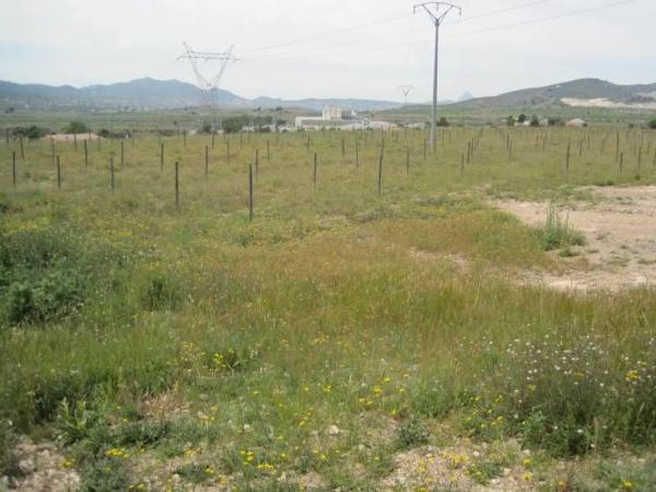 Terreno en Hondón de las Nieves photo 1