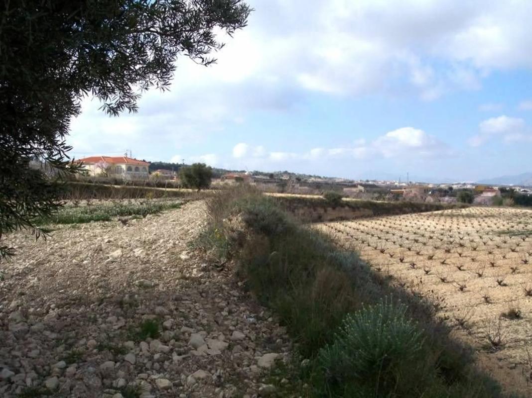 Terreno en venta en Hondón de los Frailes, Alicante photo 2