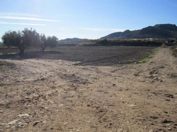 Terreno en Novelda photo 1