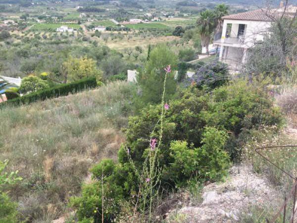 Terreno en Urbanización la Almazara thumbnail 2