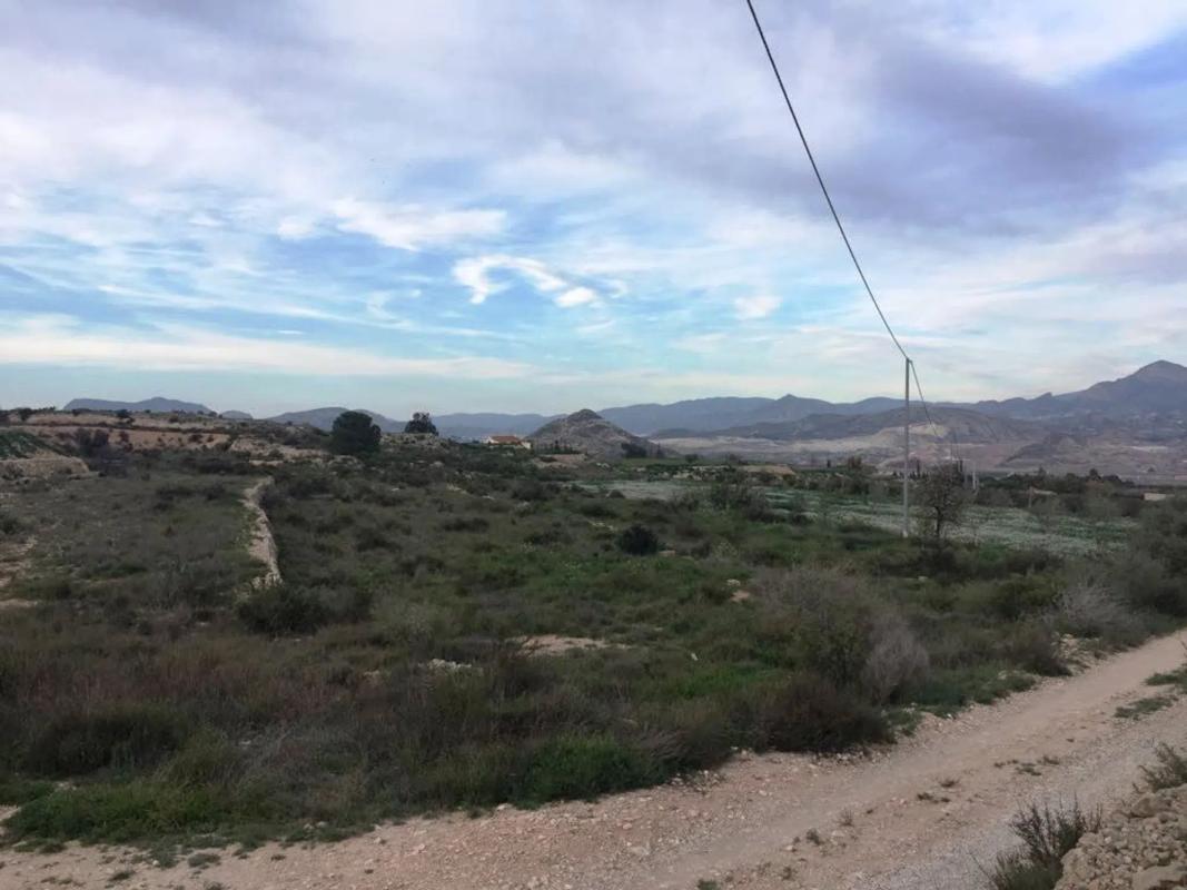 Land for sale in Novelda, Alicante photo 2