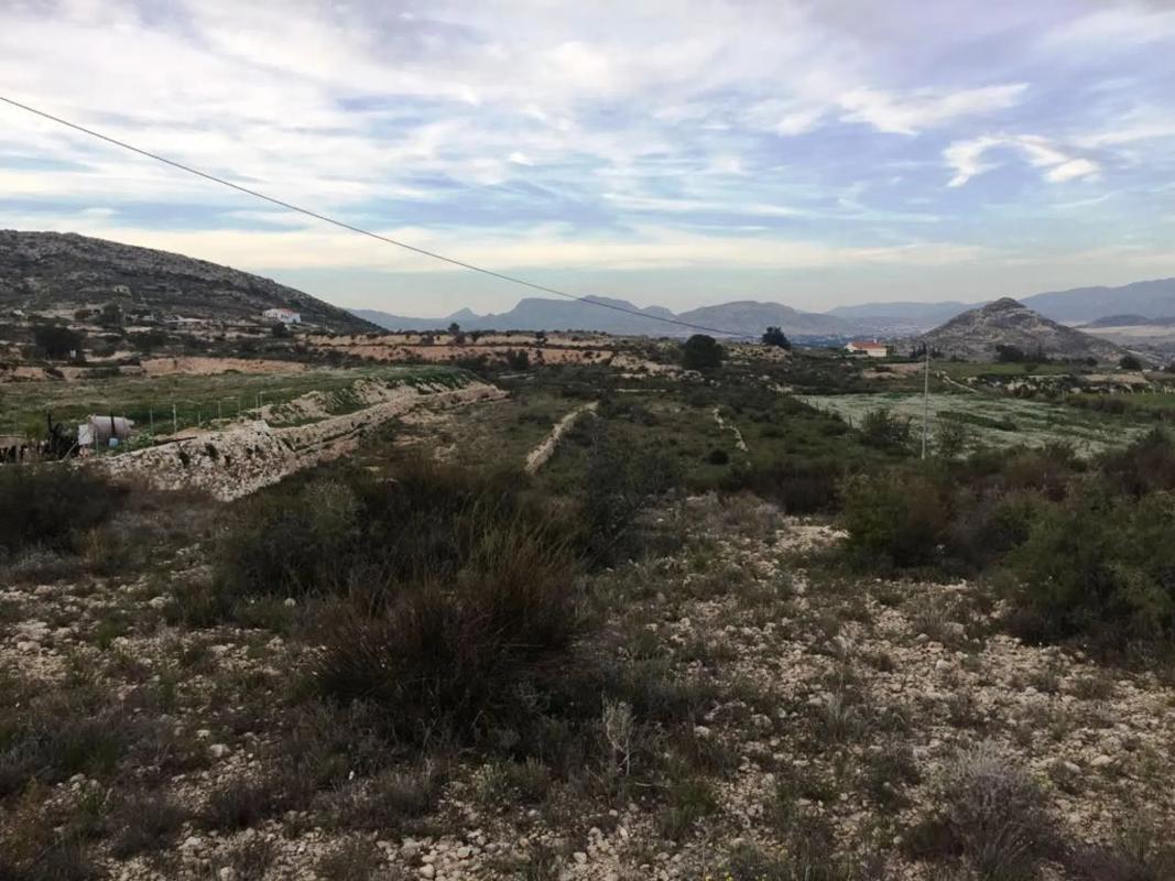 Land for sale in Novelda, Alicante photo 4