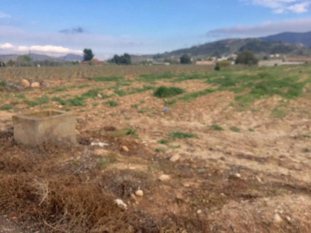 Land for sale in Hondón de las Nieves, Alicante photo 2