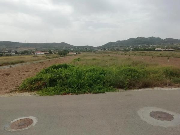 Terreno en Hondón de los Frailes photo 2